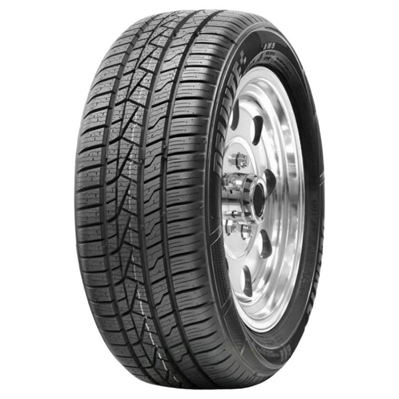 Delinte AW5