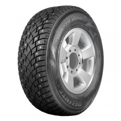 Delinte Winter WD42
